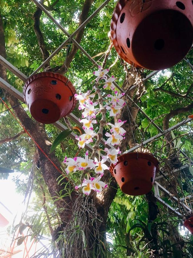 Homestay Vuon Nhan Pleiku Exterior foto